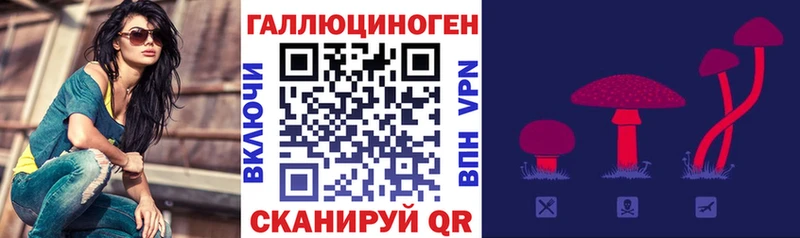 Галлюциногенные грибы GOLDEN TEACHER  Тюмень 