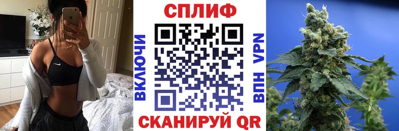 продажа наркотиков  Тюмень  Бошки марихуана Amnesia 