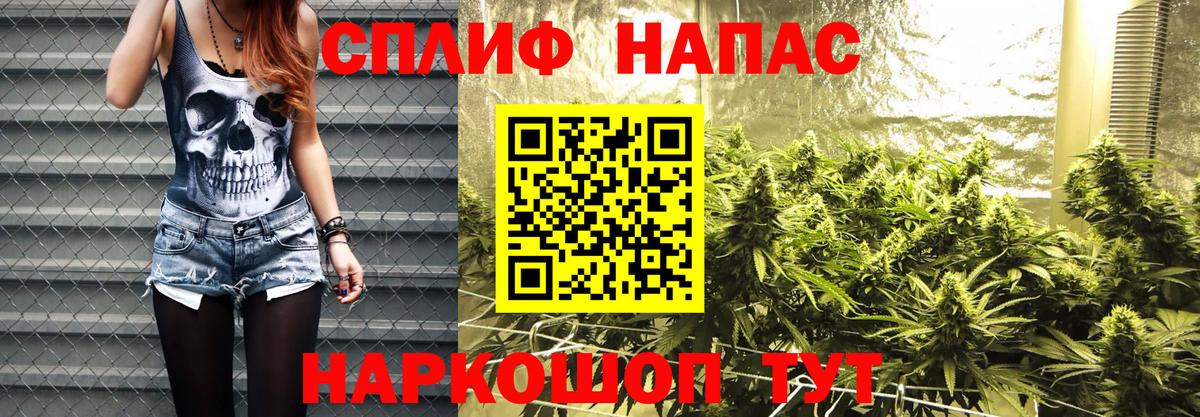 МАРИХУАНА ГИДРОПОН  Вход с VPN  Тюмень  Бошки Шишки White Widow 